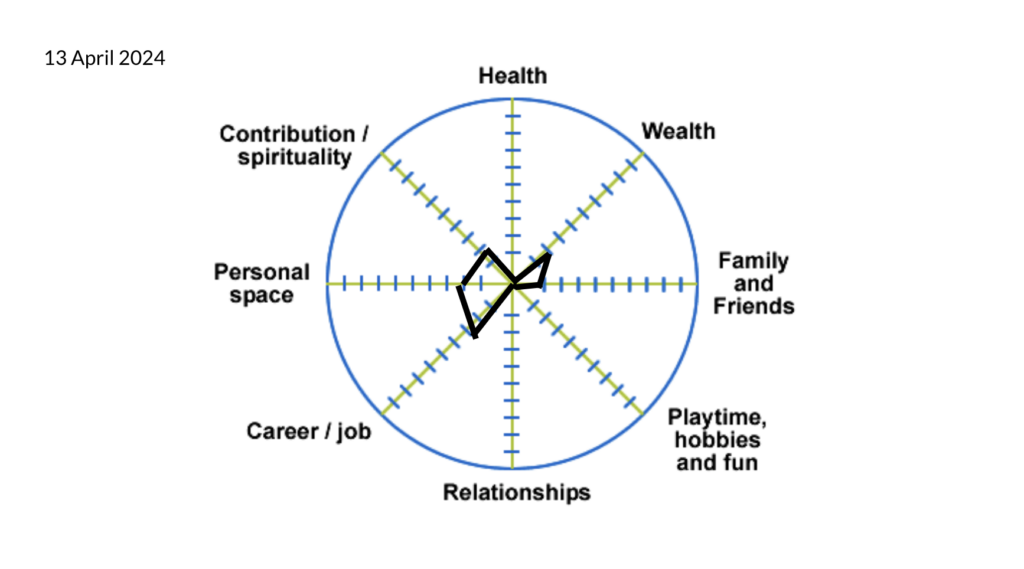 The Wheel of Life for Saurabh Garg on 13 April 2024